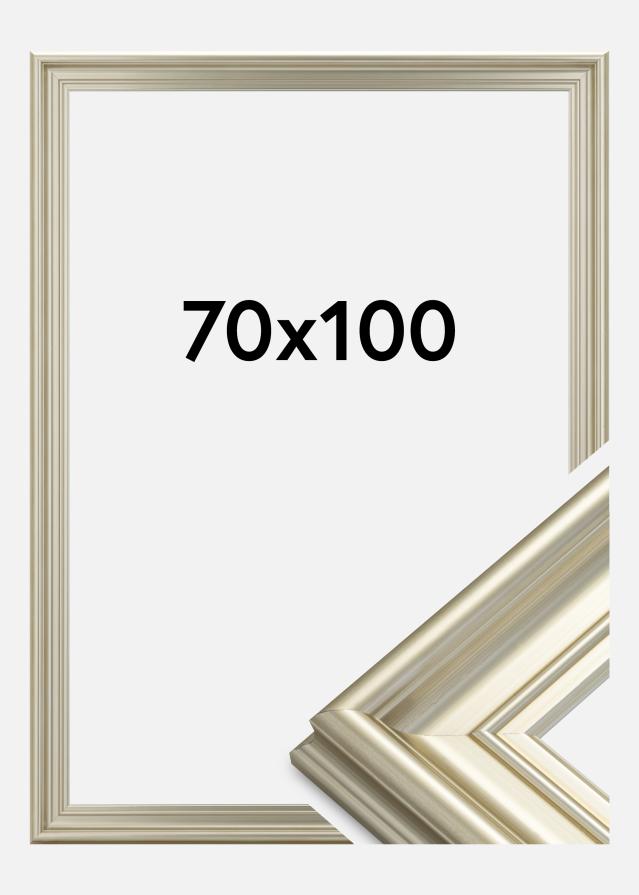 Cornice Mora Premium Argento 70x100 cm