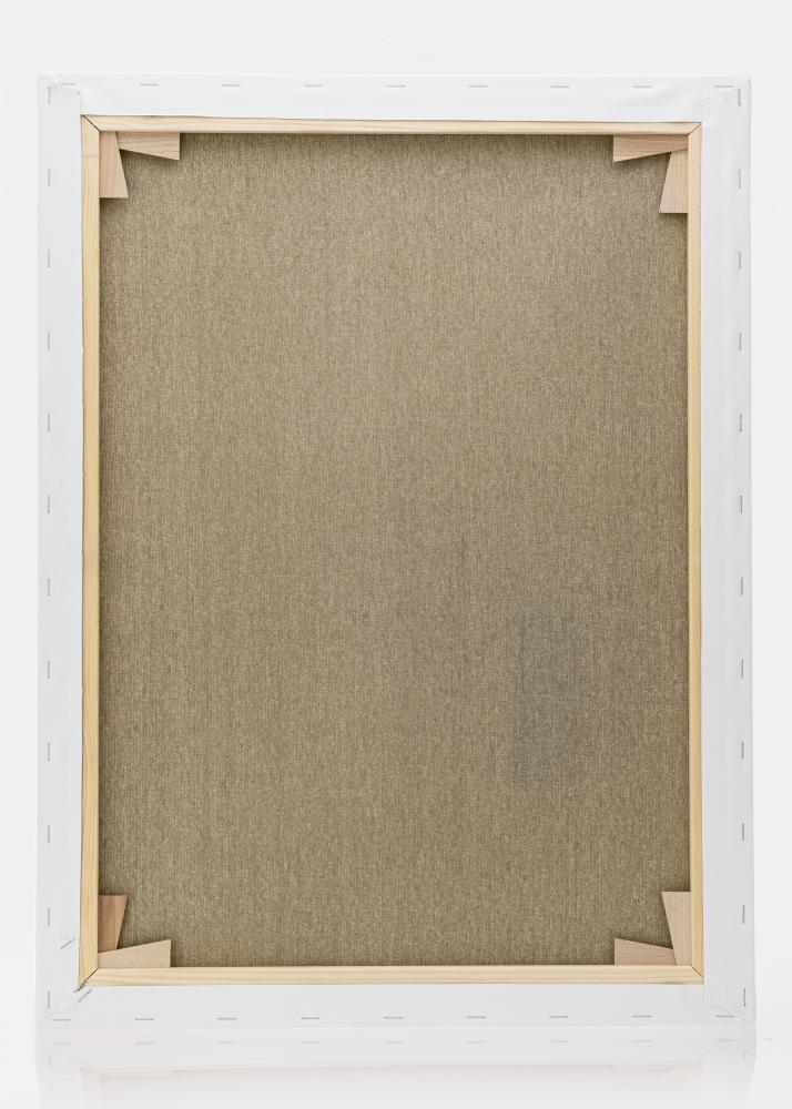 Tela per dipingere Premium Bianco 60x80 cm