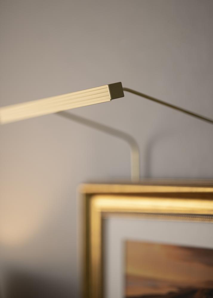BLP 117 illuminazione di quadri 25 cm - Oro