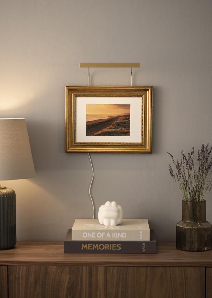 BLP 117 illuminazione di quadri 25 cm - Oro