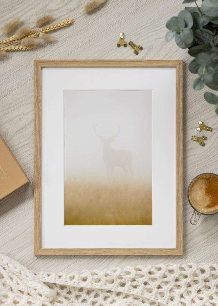 Cornice Vemdalen Vetro acrilico Quercia 40x81 cm