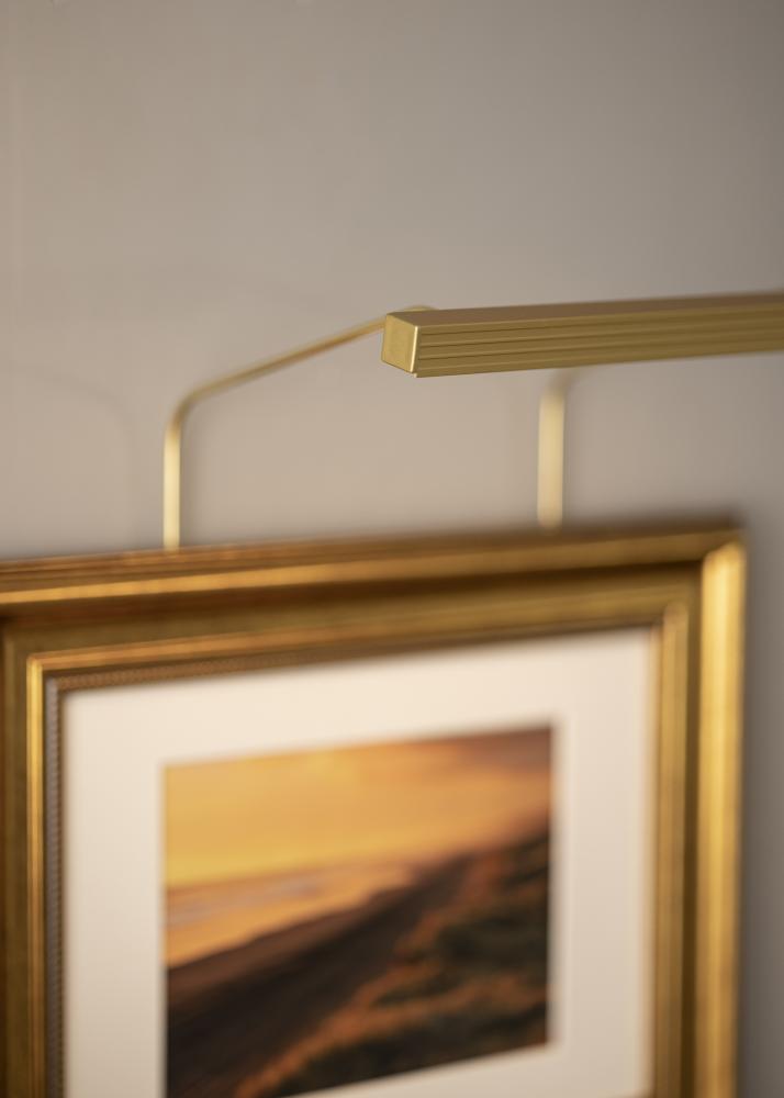 BLP 117 illuminazione di quadri 25 cm - Oro