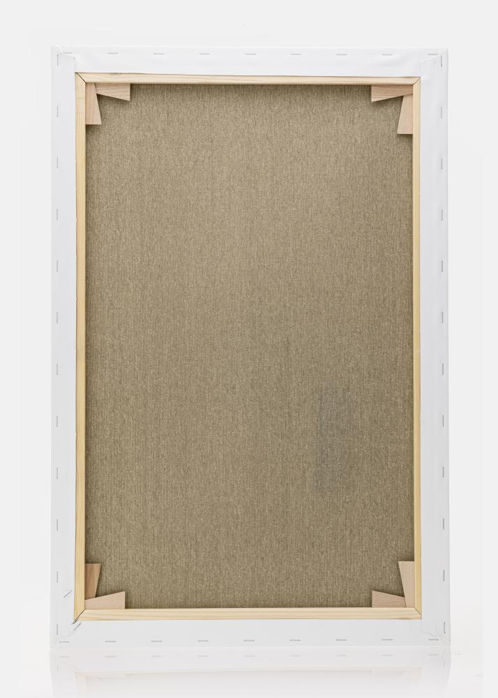 Tela per dipingere Premium Bianco 80x120 cm