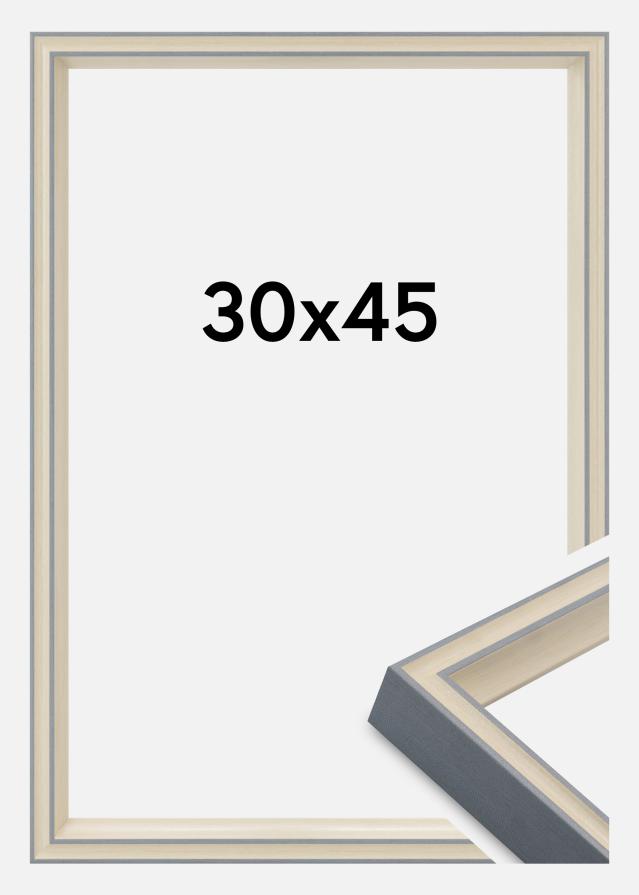 Cornice Riga Vetro acrilico Grigio 30x45 cm