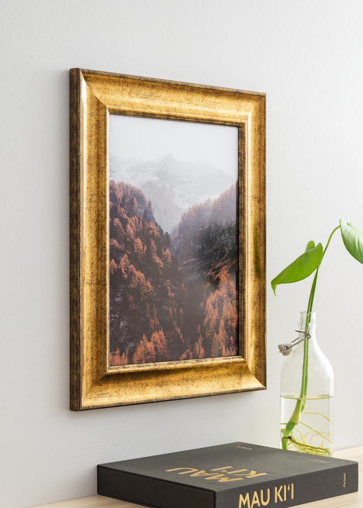 Cornice Saltsjöbaden Vetro acrilico Oro 50x60 cm