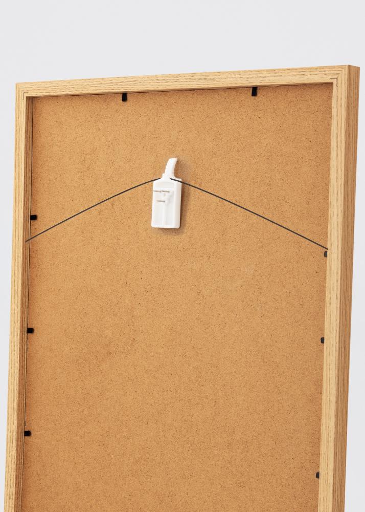 Ganci per quadri per tutte le pareti - BGA Ganci per quadri 2 pz