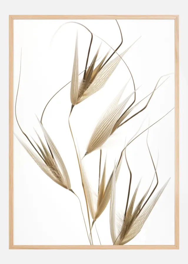 Delicacy of Naturale Poster