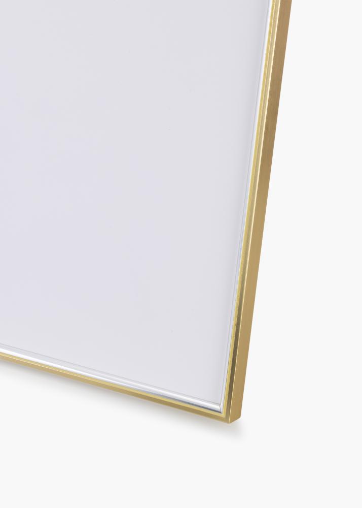 Cornice Hipster Vetro acrilico Guld-Silver 60x80 cm