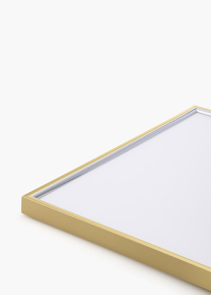 Cornice Hipster Vetro acrilico Guld-Silver 60x80 cm