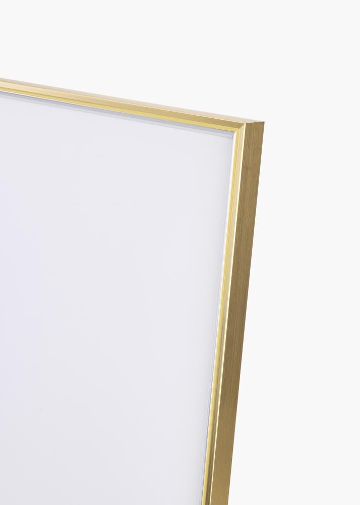 Cornice Hipster Vetro acrilico Guld-Silver 60x80 cm