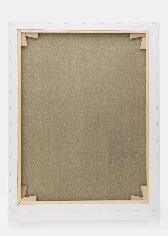 Tela per dipingere Premium Bianco 40x50 cm