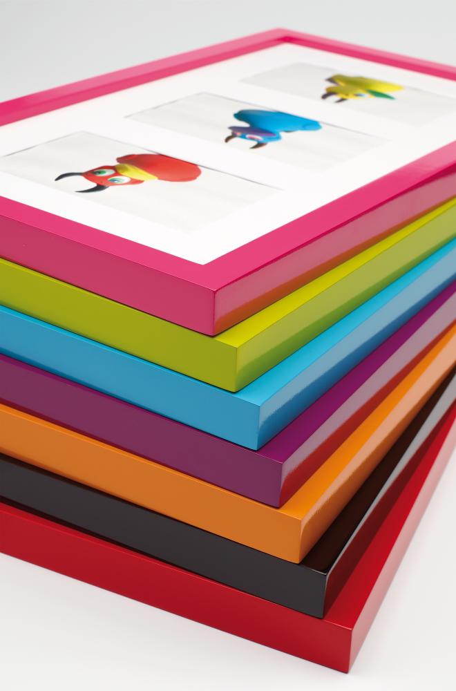 Cornice Anitra Azzurro 40x50 cm