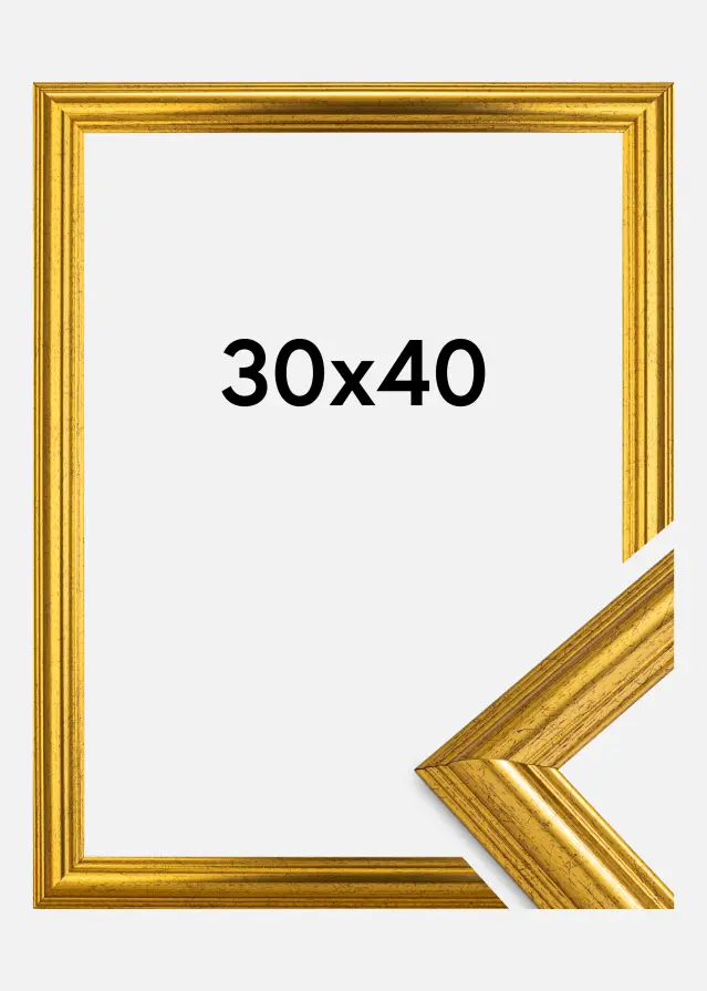 Cornice Västkusten Vetro acrilico Oro 30x40 cm