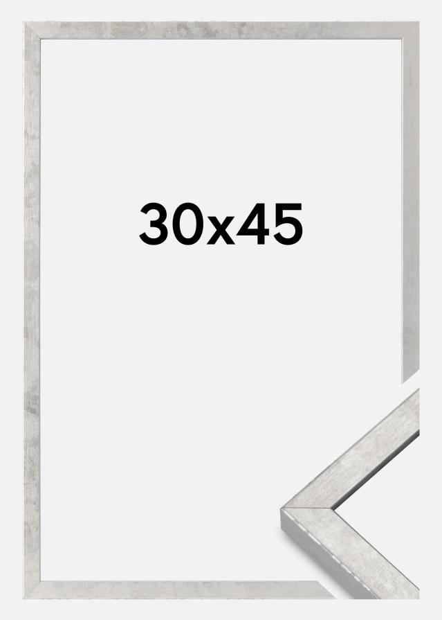 Cornice Ares Vetro Acrilico Argento 30x45 cm