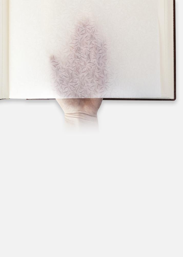 Madrid Album Marrone - 30x31 cm (60 Pagine marroni / 30 fogli)