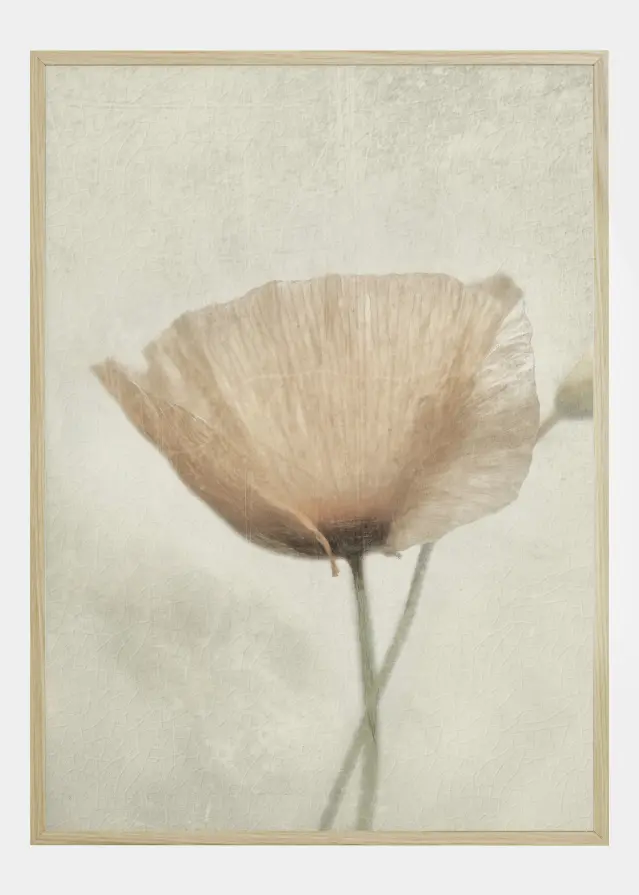 Jewel Of Naturale Poster