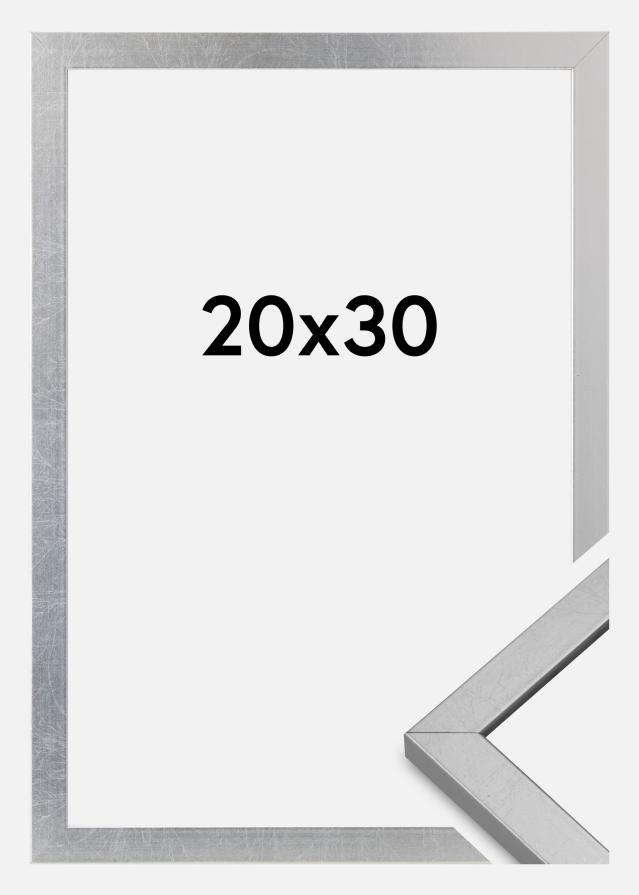 Cornice Minerva Acrilico Argento 20x30 cm