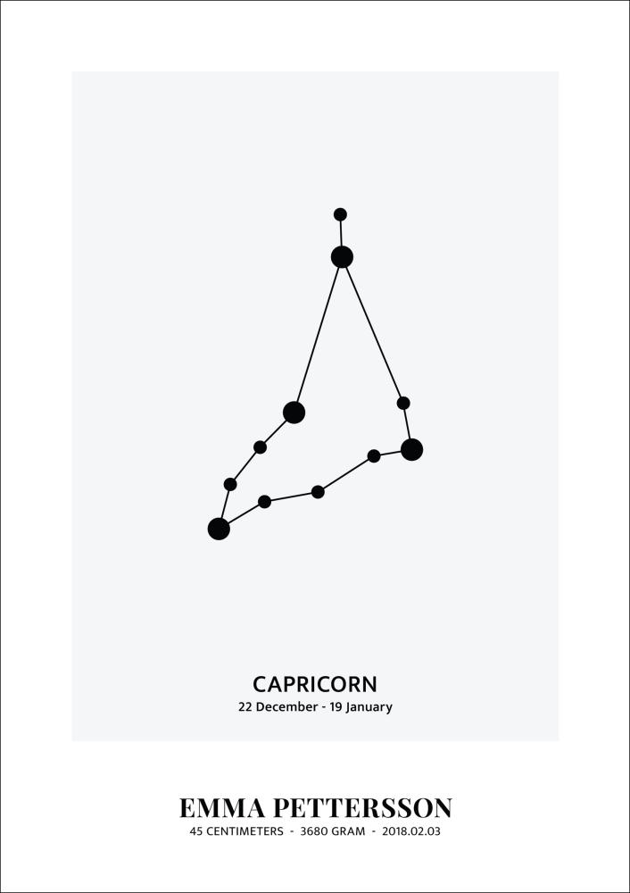 Capricorn - Segno zodiacale