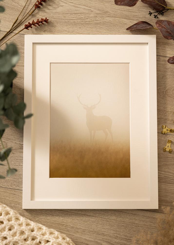 Cornice Deco Vetro acrilico Bianco 60x80 cm