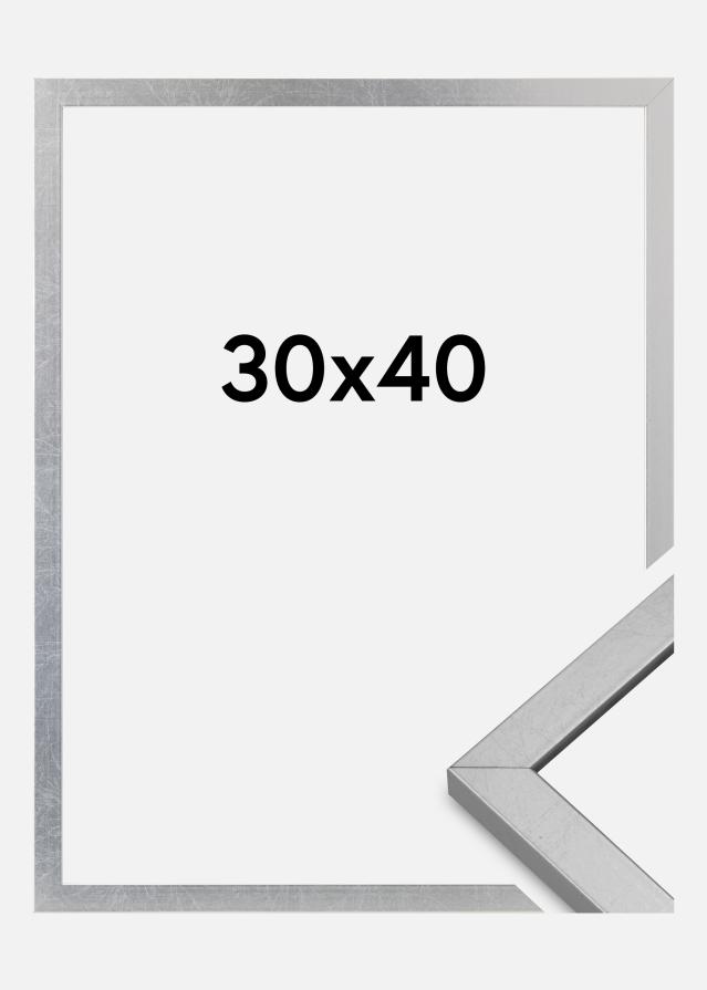 Cornice Minerva Acrilico Argento 30x40 cm