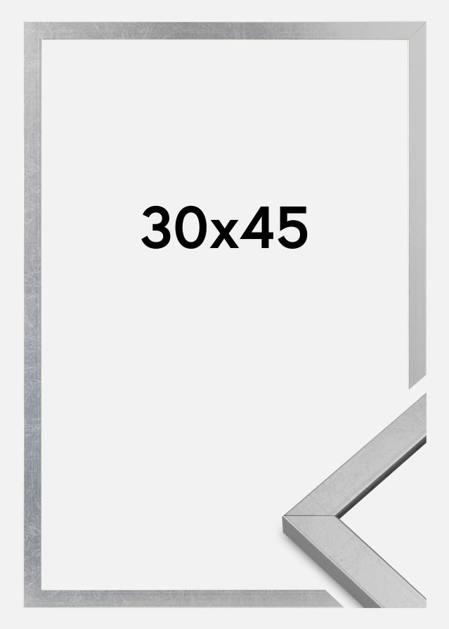 Cornice Minerva Acrilico Argento 30x45 cm