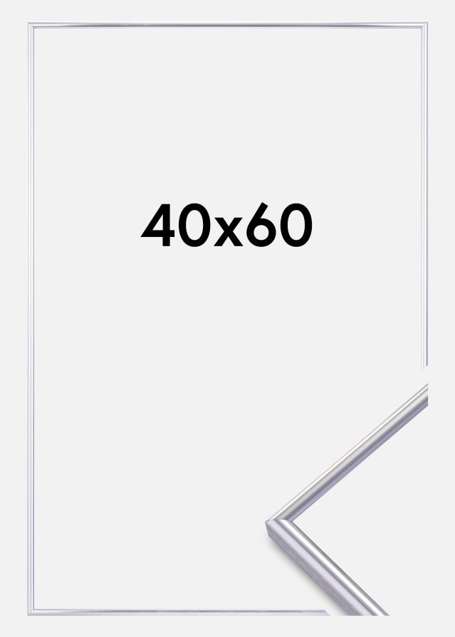 Cornice Can-Can Argento 40x60 cm