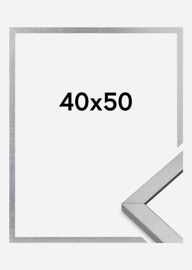 Cornice Minerva Acrilico Argento 40x50 cm