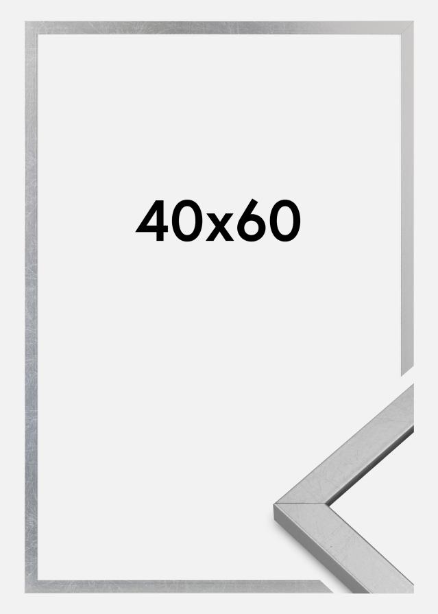 Cornice Minerva Acrilico Argento 40x60 cm