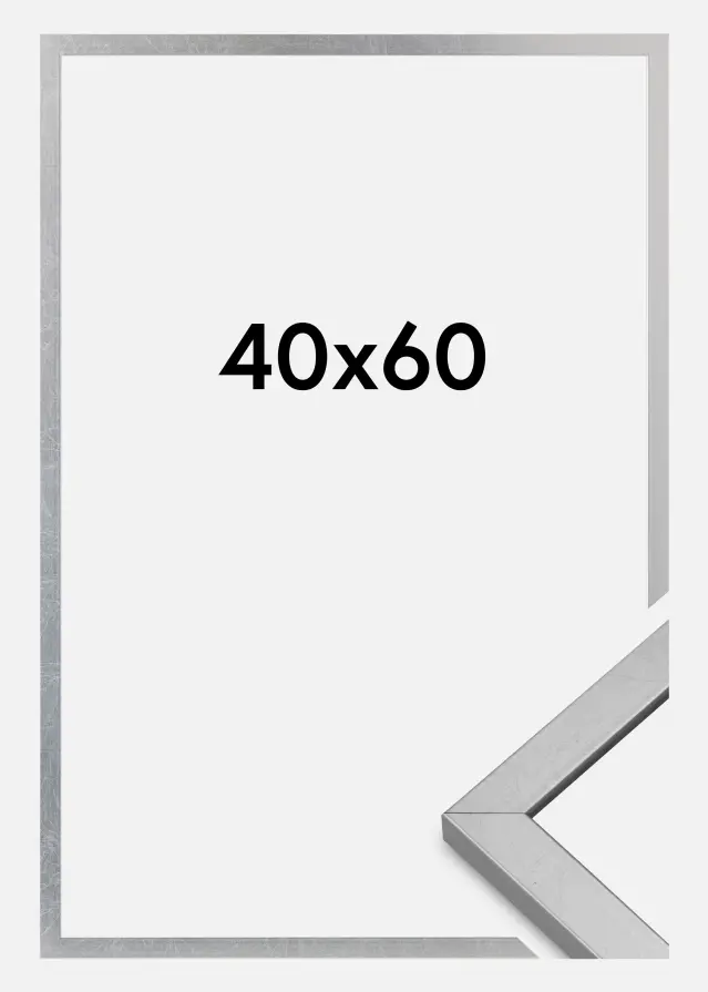 Cornice Minerva Acrilico Argento 40x60 cm