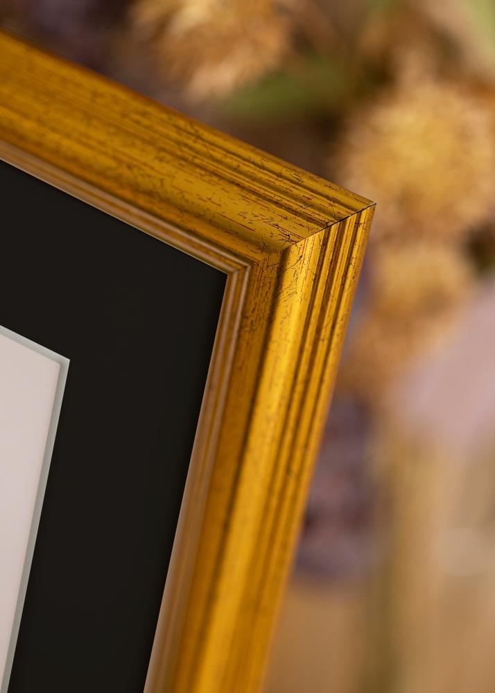 Cornice Västkusten Oro 50x60 cm - Passe-partout Nero 15x20 inches