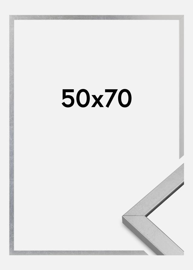 Cornice Minerva Acrilico Argento 50x70 cm