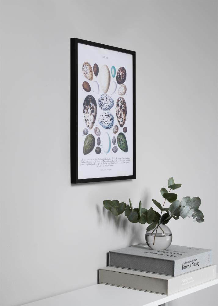 Cornice Oslo Nero 60x60 cm - Passe-partout Nero 50x50 cm