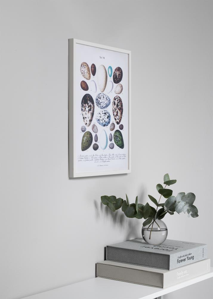 Cornice Oslo Bianco 30x40 cm - Passe-partout Nero 18x27 cm