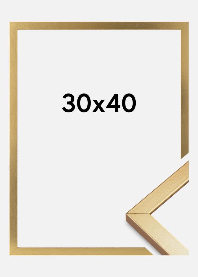 Cornice Minerva Acrilico Oro 30x40 cm