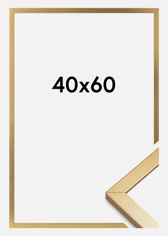 Cornice Minerva Acrilico Oro 40x60 cm