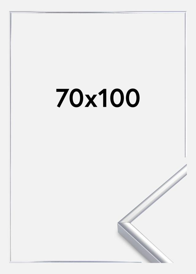 Cornice Alluminio Vetro acrilico Finitura brillante Argento 70x100 cm