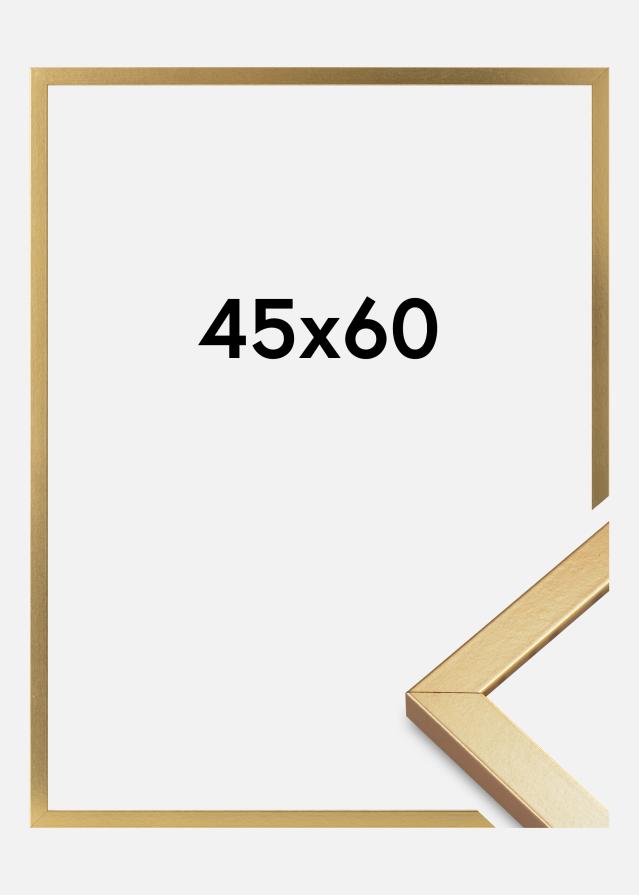 Cornice Minerva Acrilico Oro 45x60 cm