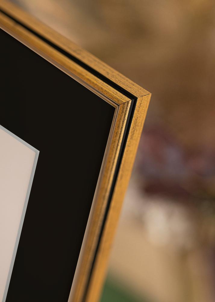 Cornice Horndal Oro 24x30 cm - Passe-partout Nero 18x24 cm