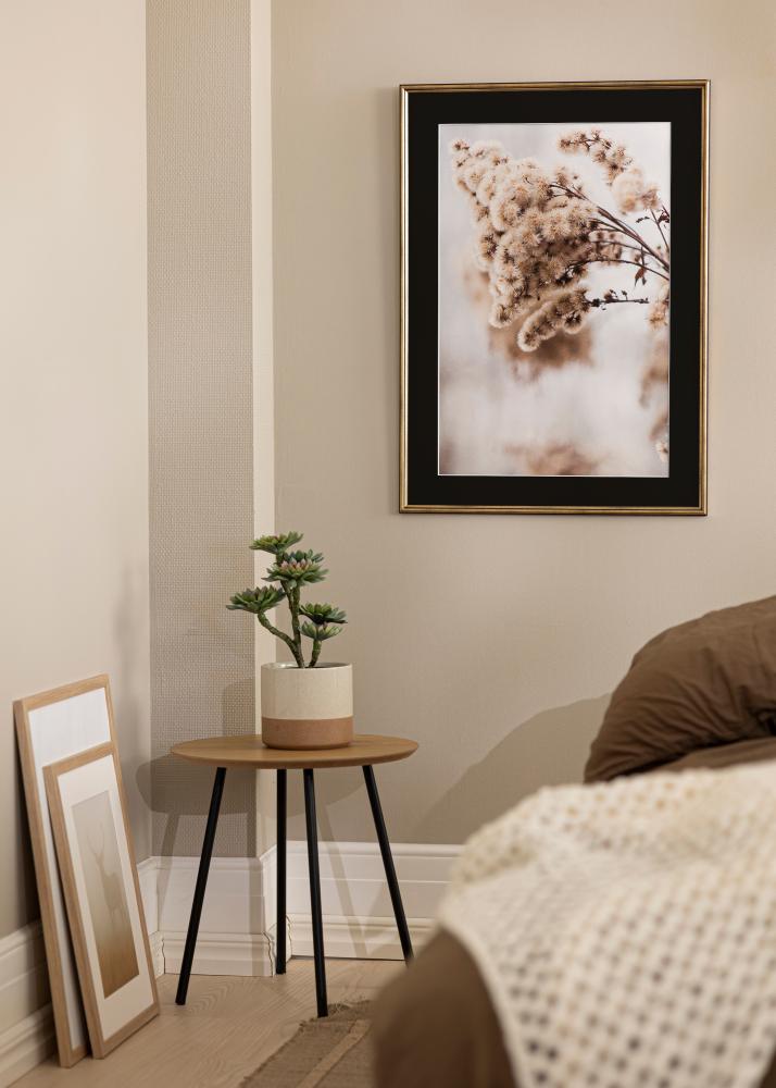 Cornice Horndal Oro 24x30 cm - Passe-partout Nero 18x24 cm