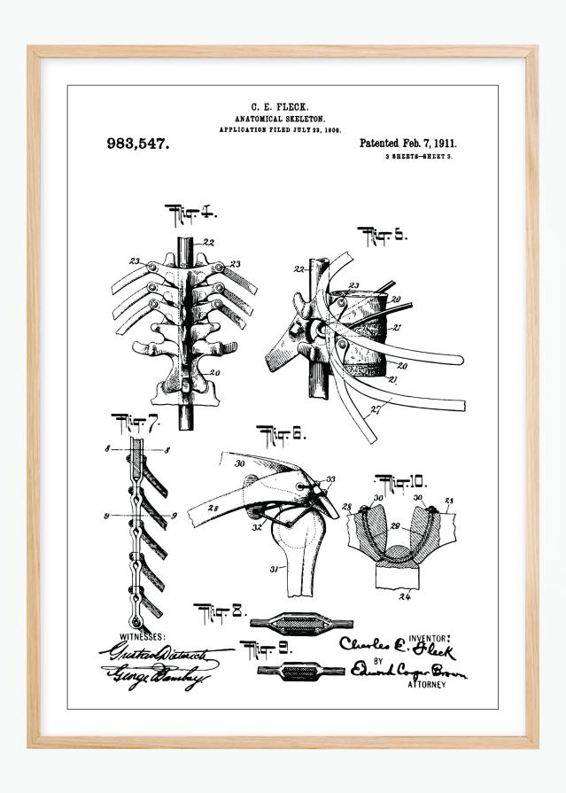 Disegni di brevetti - Anatomia dello scheletro III Poster