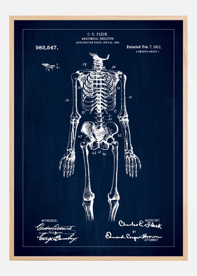 Disegni di brevetti - Anatomia dello scheletro I - Blu Poster