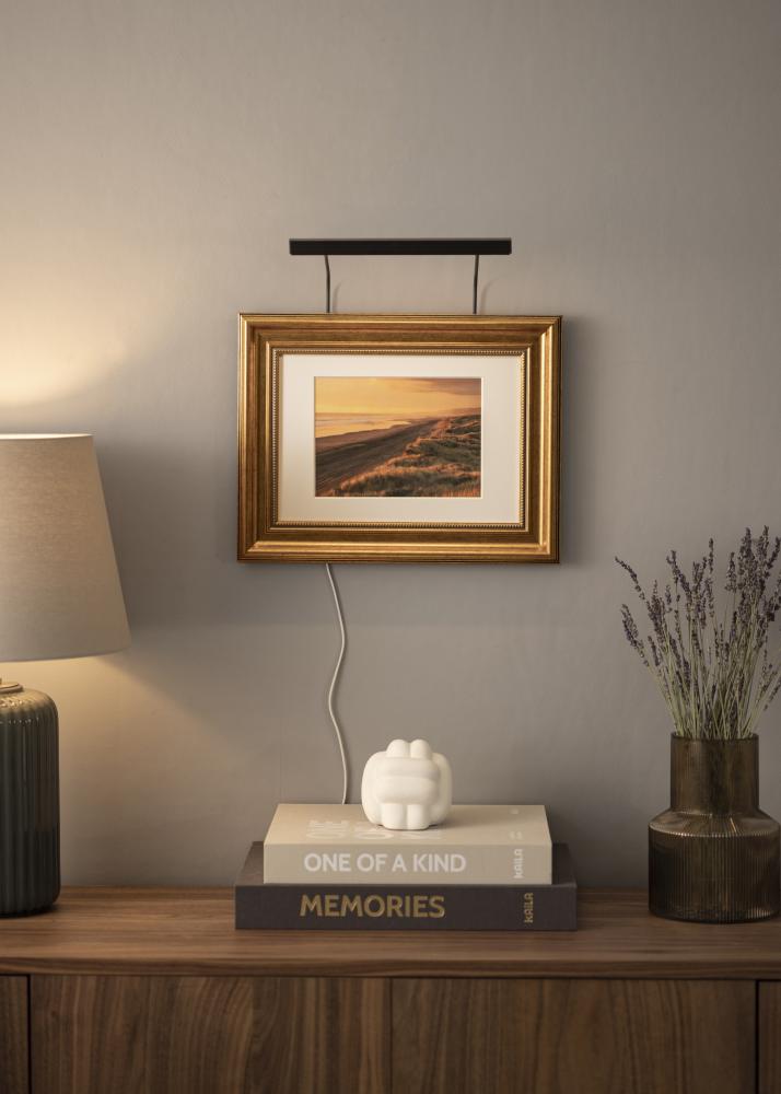 BLP 117 illuminazione lavagna 25 cm - Nero