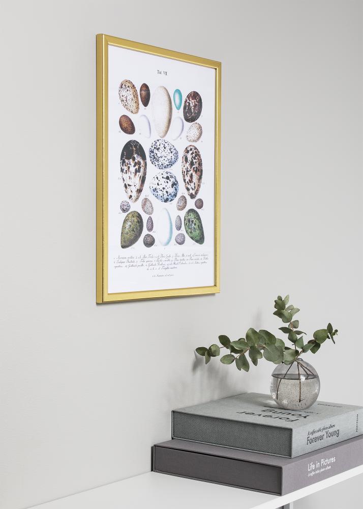 Cornice Slim Opaco Vetro antiriflesso Oro 21X29,7 cm (A4)