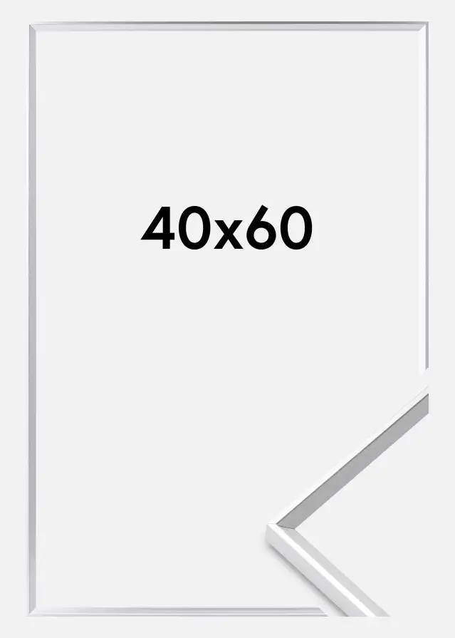 Cornice Desire Vetro acrilico Argento 40x60 cm