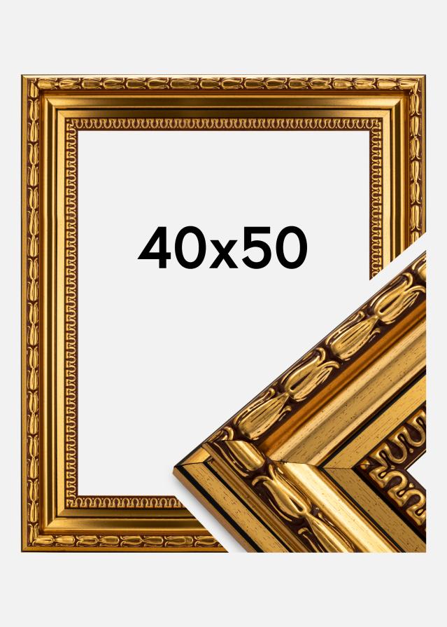 Cornice Birka Premium Oro 40x50 cm