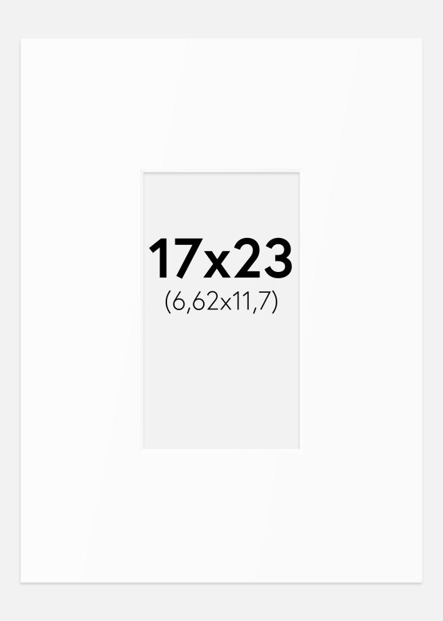 Passe-partout Bianco Standard (Bordo interno bianco) 17x23 cm (6,62x11,7)